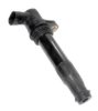 BBT IC12102 Ignition Coil